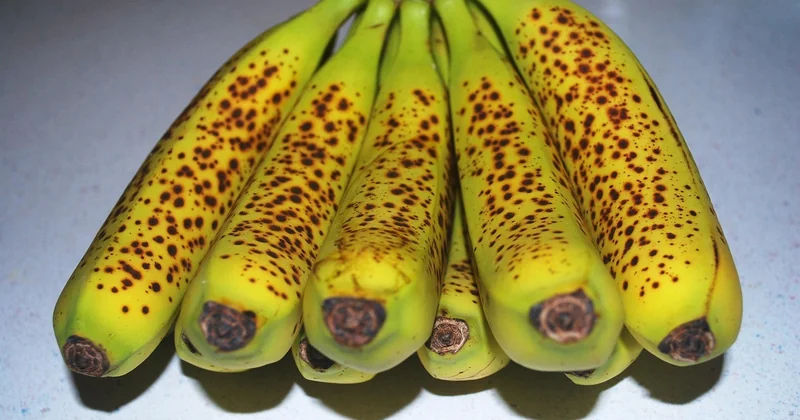 Les desserts à la banane rapides sans aucune cuisson