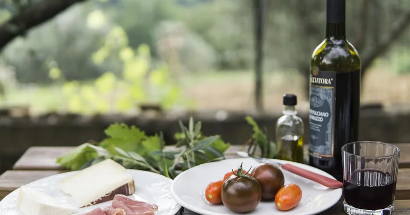 Accords mets et vins pour accompagner le gratin