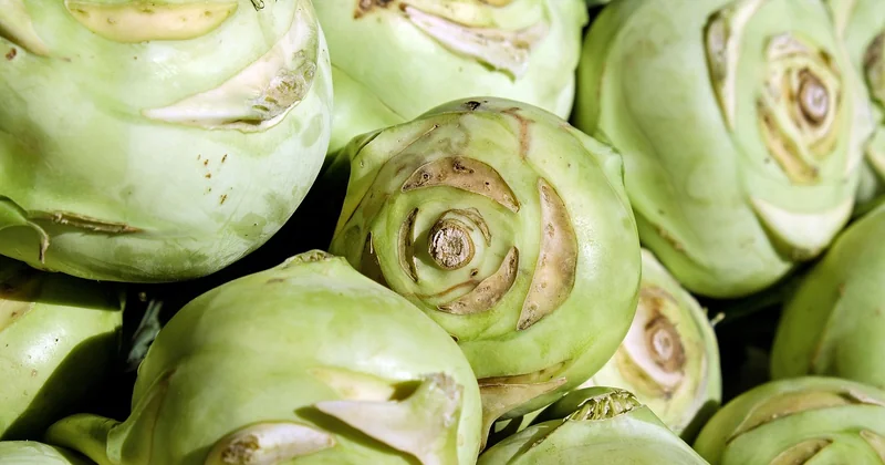 Gratin sans béchamel : une alternative légère