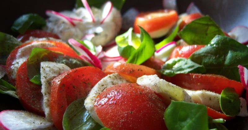 Brochettes apéritives tomate mozzarella basilic : la recette fraîche et facile qui épate vos invités