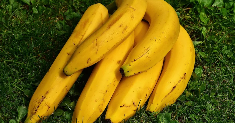 Que faire avec des bananes trop mûres ? Congeler, plutôt que jeter